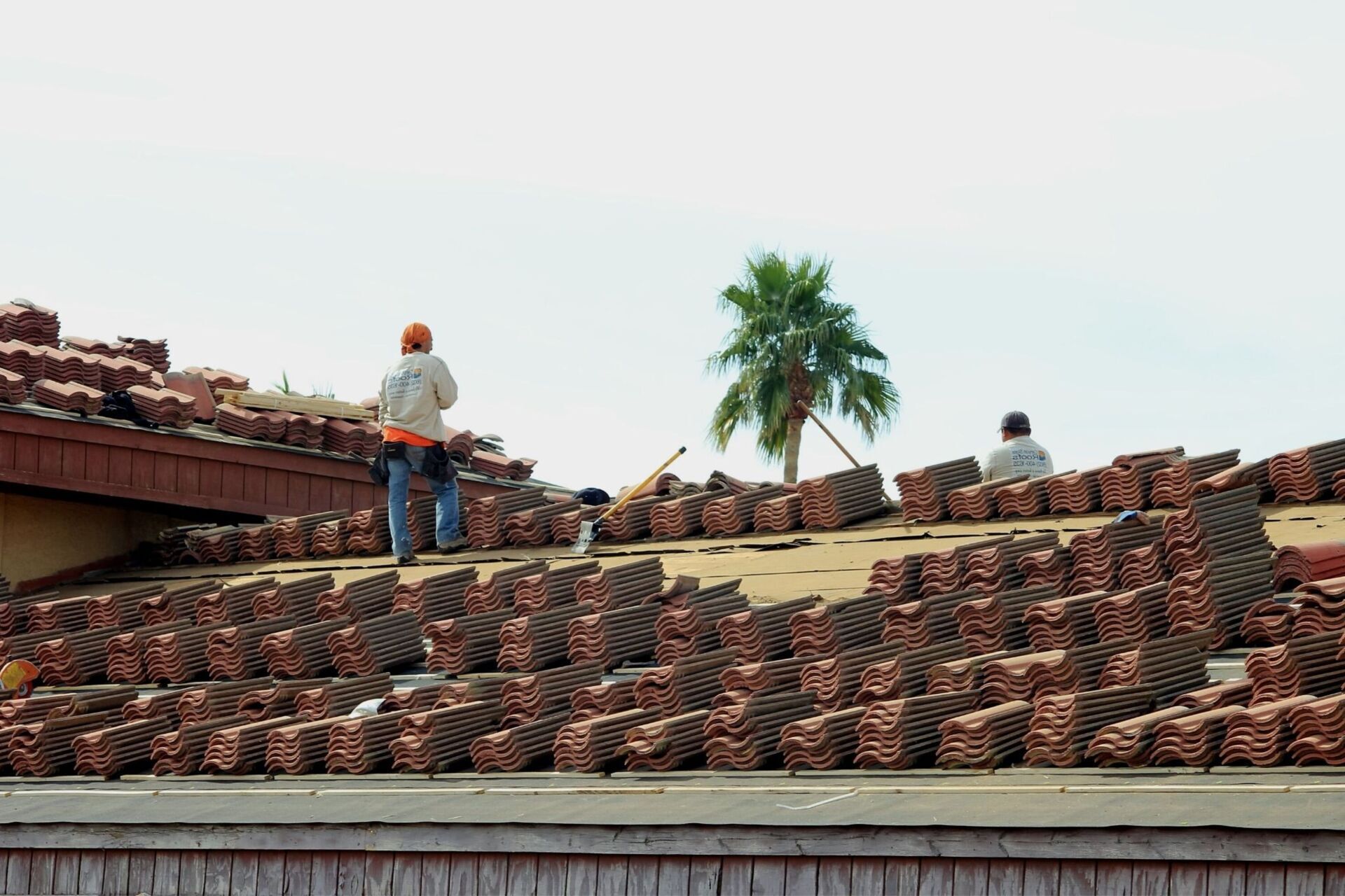 Dos personas sobre una cubierta con numerosas pilas de tejas rojizas, herramientas apoyadas y una palmera al fondo.